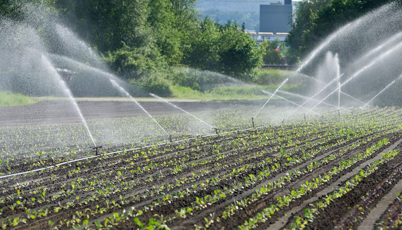 اتصالات آبياری بارانی