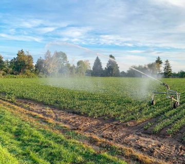 بهترین اتصالات بارانی برای سیستم آبیاری قطره ای و بارانی